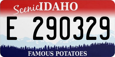 ID license plate E290329