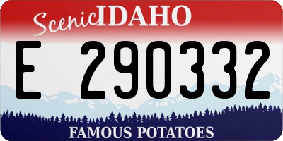 ID license plate E290332