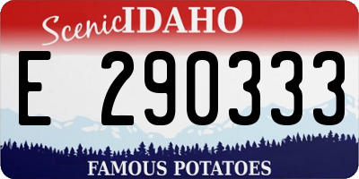 ID license plate E290333