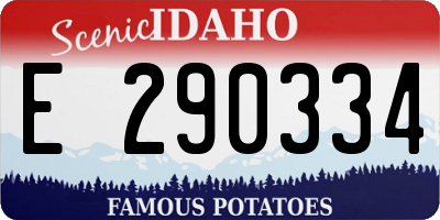 ID license plate E290334