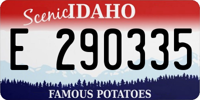 ID license plate E290335