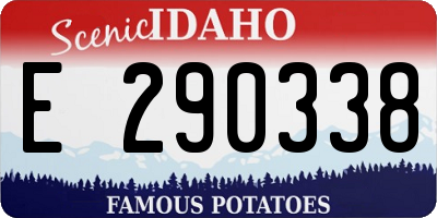 ID license plate E290338