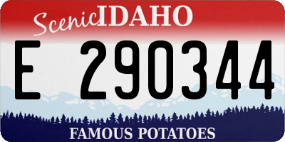ID license plate E290344