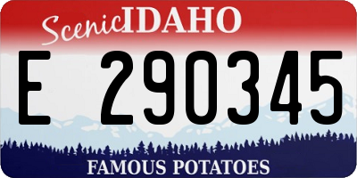 ID license plate E290345