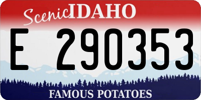 ID license plate E290353