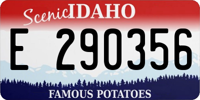 ID license plate E290356