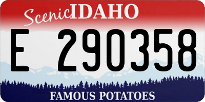 ID license plate E290358