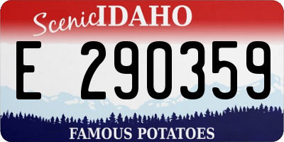 ID license plate E290359