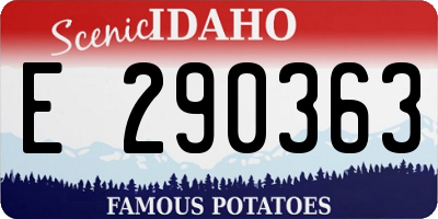 ID license plate E290363
