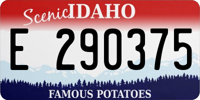 ID license plate E290375
