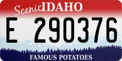 ID license plate E290376