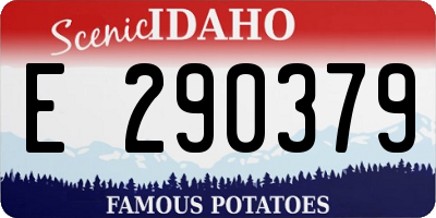 ID license plate E290379
