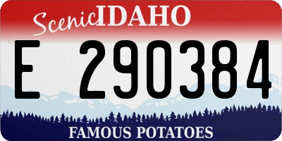 ID license plate E290384