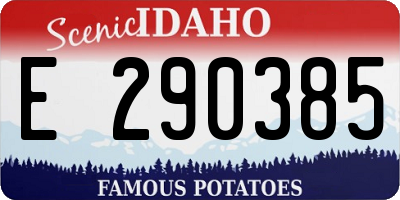 ID license plate E290385
