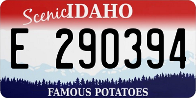 ID license plate E290394