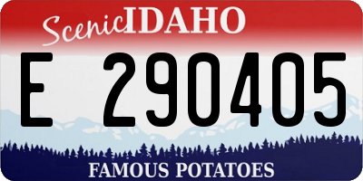 ID license plate E290405