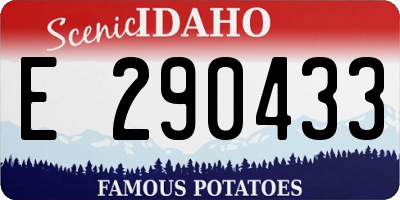 ID license plate E290433