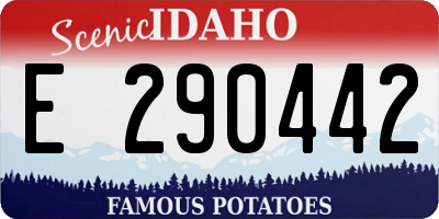 ID license plate E290442
