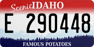 ID license plate E290448