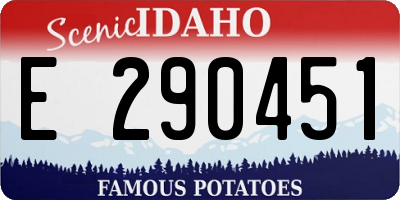 ID license plate E290451