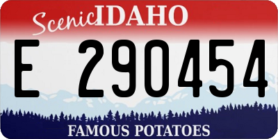 ID license plate E290454