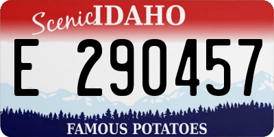 ID license plate E290457