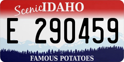 ID license plate E290459
