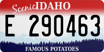 ID license plate E290463