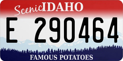 ID license plate E290464