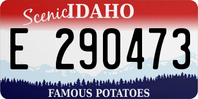ID license plate E290473
