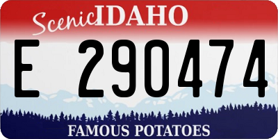 ID license plate E290474