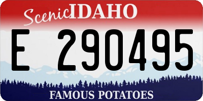 ID license plate E290495