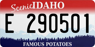 ID license plate E290501