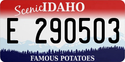 ID license plate E290503