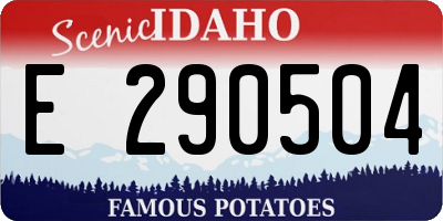ID license plate E290504