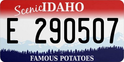 ID license plate E290507