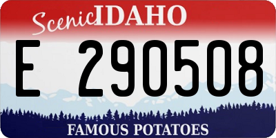 ID license plate E290508