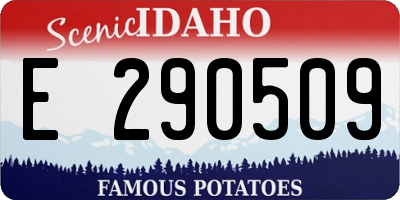 ID license plate E290509