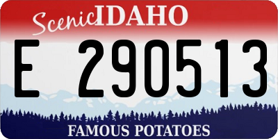 ID license plate E290513