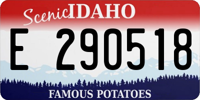 ID license plate E290518