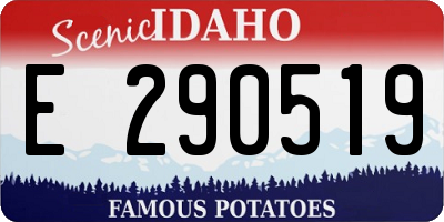 ID license plate E290519
