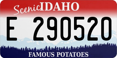 ID license plate E290520