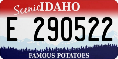 ID license plate E290522