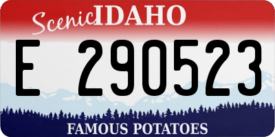 ID license plate E290523