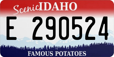 ID license plate E290524