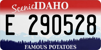 ID license plate E290528