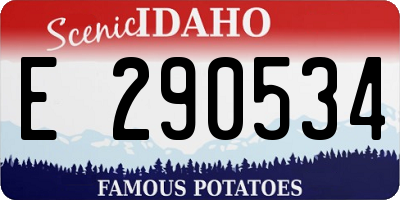 ID license plate E290534