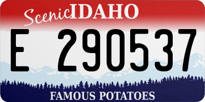 ID license plate E290537
