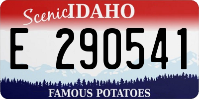ID license plate E290541