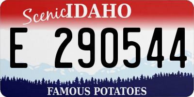 ID license plate E290544
